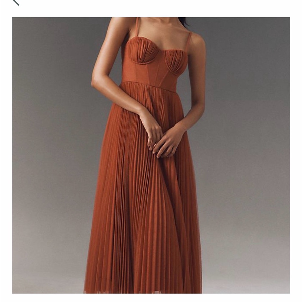 Anthropologie Hutch Amara Corset Pleates Tulle Fit & Flare